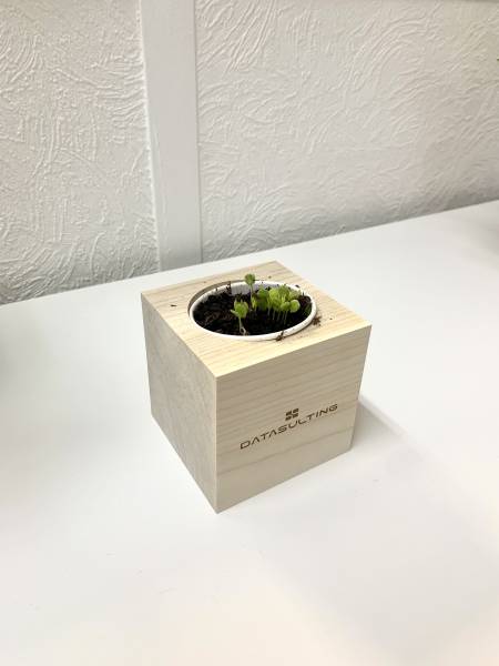 Pot de plantes personnalisé en gravure Datasulting