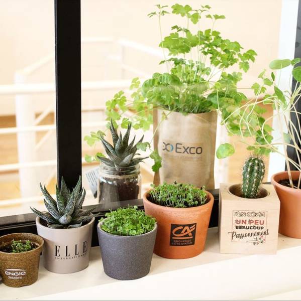 Sélection de plante en pot personnalisé made in France