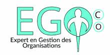 Expert en gestion des Organisations Lyon EGOCO